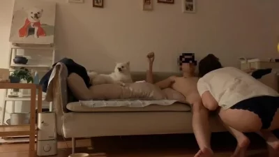 人ZOOM狗狗